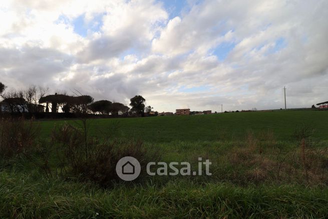 Terreno agricolo in commerciale in Via della Pisana 1282