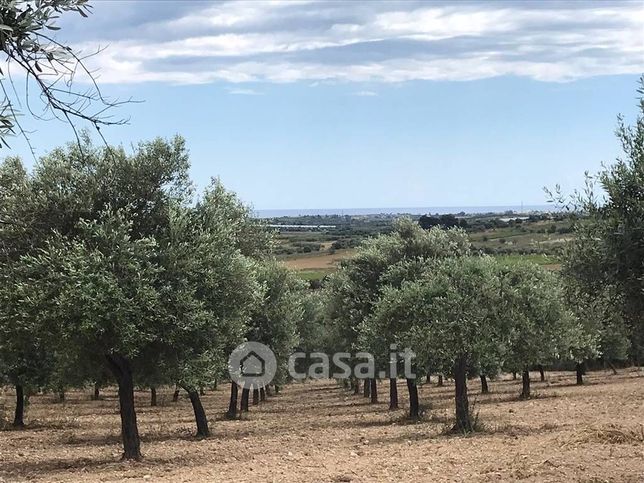 Terreno agricolo in commerciale in Strada Provinciale 11