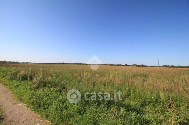 Terreno agricolo in commerciale in 