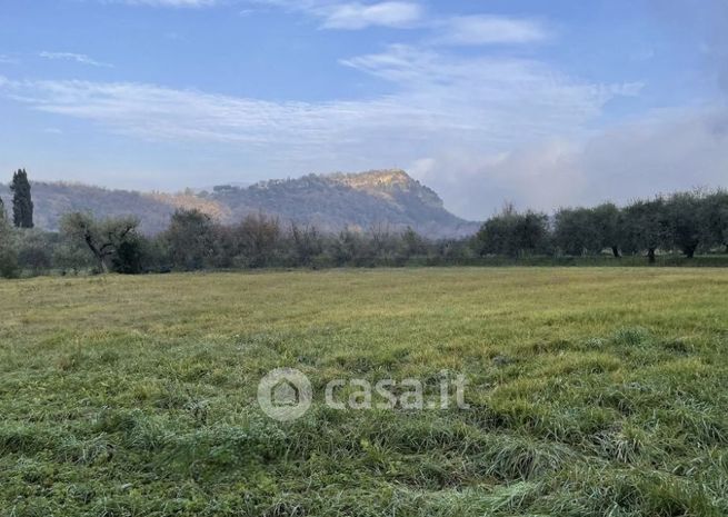 Terreno agricolo in commerciale in Via Agello