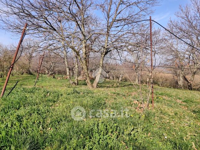 Terreno agricolo in commerciale in 