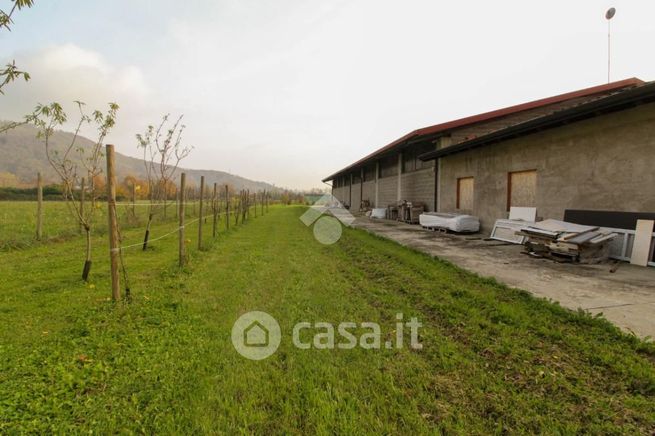 Terreno agricolo in commerciale in Via Miola