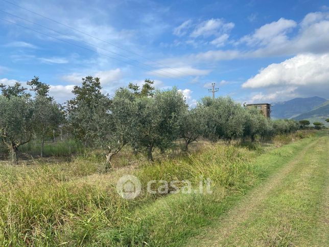 Terreno agricolo in commerciale in Via Pantano d'inferno