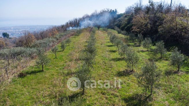 Terreno agricolo in commerciale in Via delle Querce