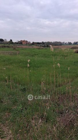 Terreno agricolo in commerciale in Via di Zambra