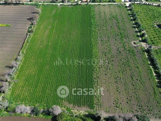 Terreno agricolo in commerciale in Traversa Pozzo di Mazza