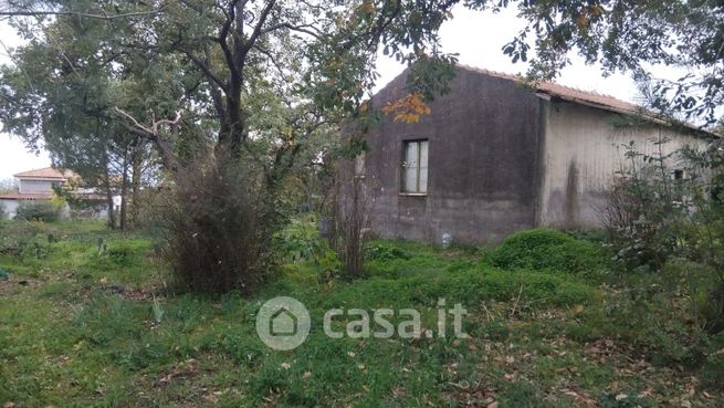 Terreno agricolo in commerciale in Via Edoardo Pantano