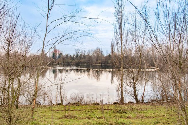 Terreno agricolo in commerciale in Strada Senza Nome