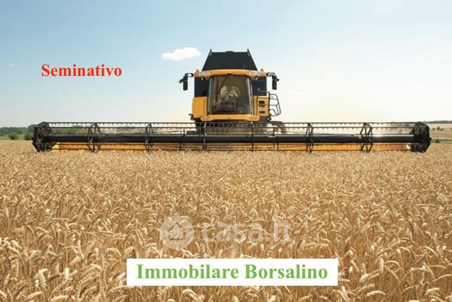 Terreno agricolo in commerciale in 
