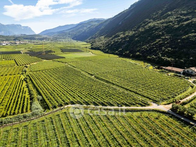 Terreno agricolo in commerciale in 