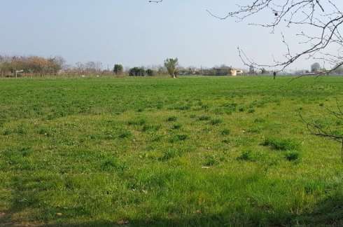 Terreno agricolo in commerciale in Via Castellana