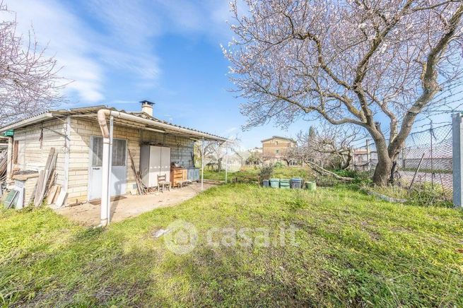 Terreno agricolo in commerciale in Borgo Fazio 1