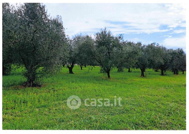 Terreno agricolo in commerciale in Via dei 5 Archi