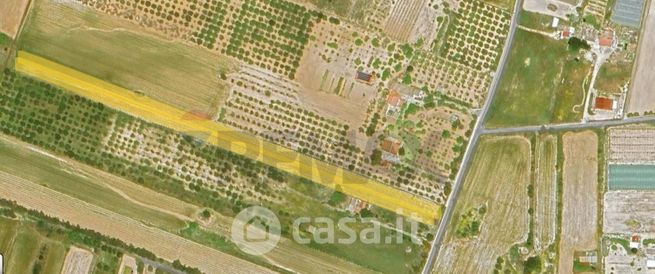 Terreno agricolo in commerciale in Contrada Pianetti