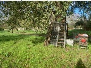 Terreno agricolo in commerciale in Contrada San Lorenzo