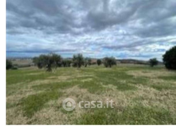 Terreno edificabile in residenziale in Strada Faleriense a Monte