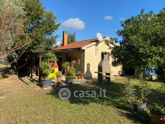 Terreno agricolo in commerciale in LocalitÃ  Fabbricciane