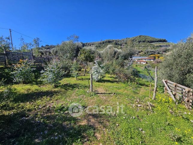 Terreno agricolo in commerciale in Via Beglini