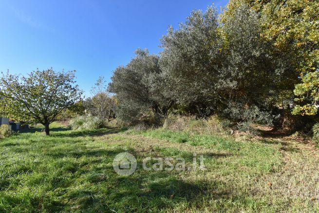 Terreno agricolo in commerciale in Località Puglie di Domio