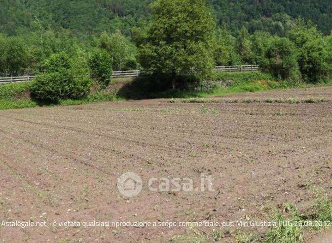 Terreno agricolo in commerciale in 