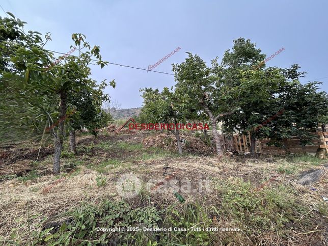 Terreno agricolo in commerciale in Strada Provinciale dell'Eleuterio