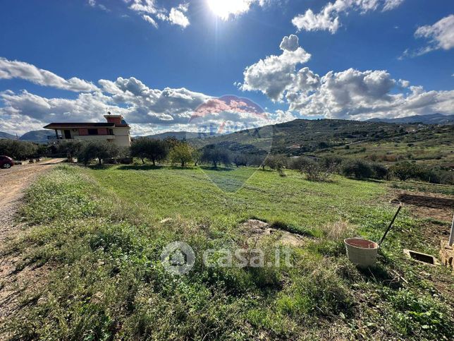 Terreno agricolo in commerciale in Comunale Consona- Scalidda