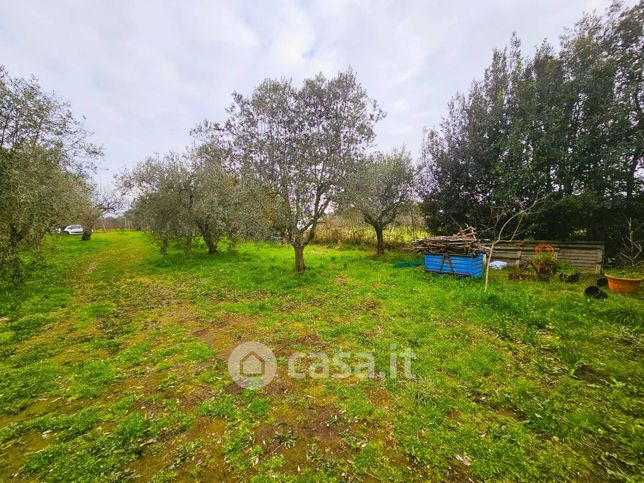 Terreno agricolo in commerciale in Via San Cataldo