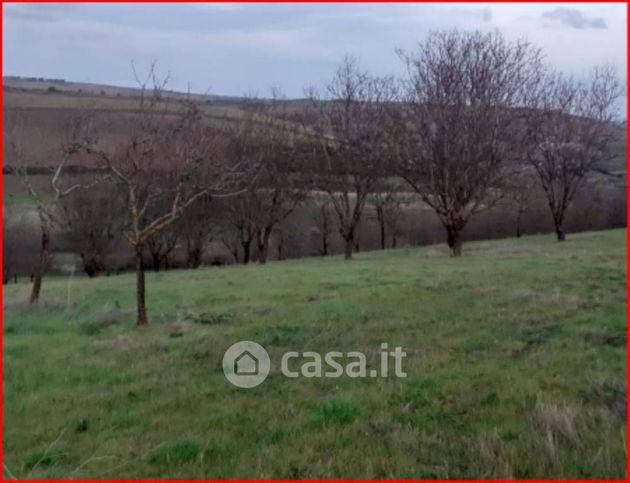 Terreno edificabile in residenziale in Strada Provinciale 36