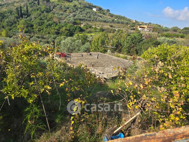 Terreno agricolo in commerciale in Via Montecristo