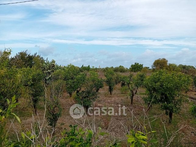 Terreno agricolo in commerciale in Via Chiovaro