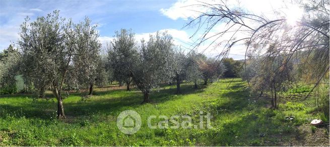 Terreno agricolo in commerciale in Via Quintino Sella