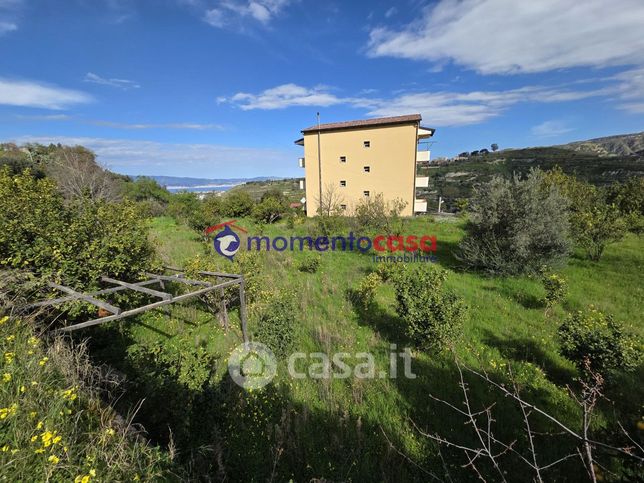 Terreno agricolo in commerciale in Via Gallina Armo Diramazione Fornaci