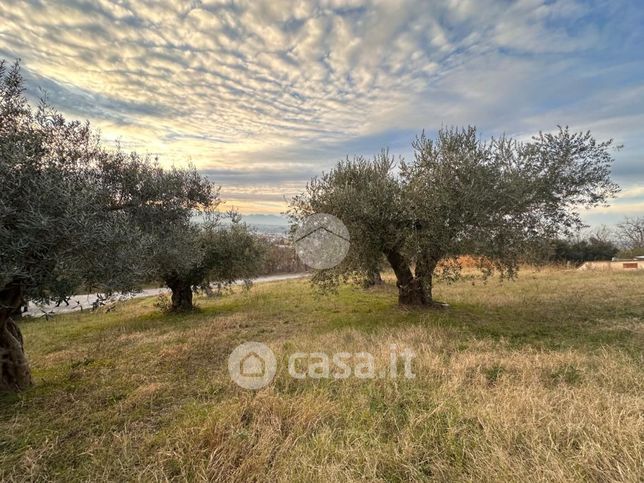 Terreno agricolo in commerciale in Strada Collebello