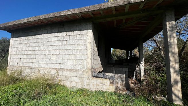 Terreno agricolo in commerciale in Località Santu Perdu