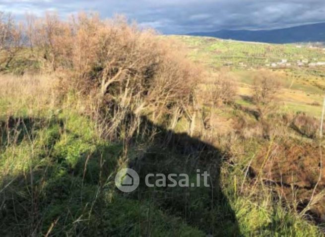 Terreno edificabile in residenziale in Località Cozzo Ulivo