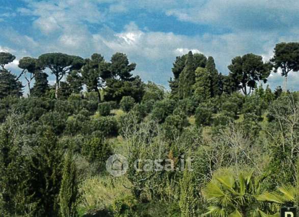 Terreno agricolo in commerciale in Via Tuscolana