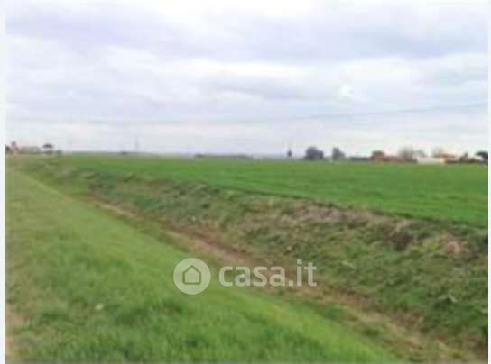 Terreno agricolo in commerciale in Via Palmerino