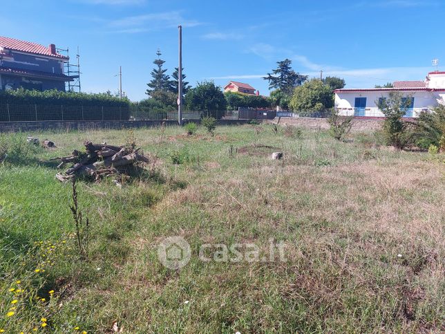 Terreno agricolo in commerciale in S. Nullo