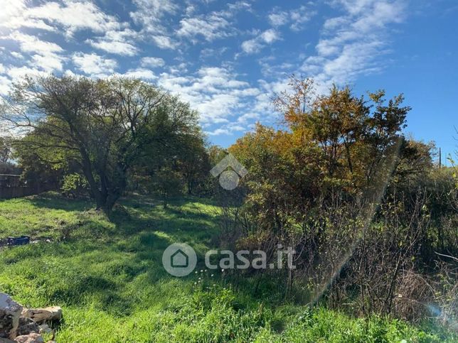 Terreno agricolo in commerciale in 