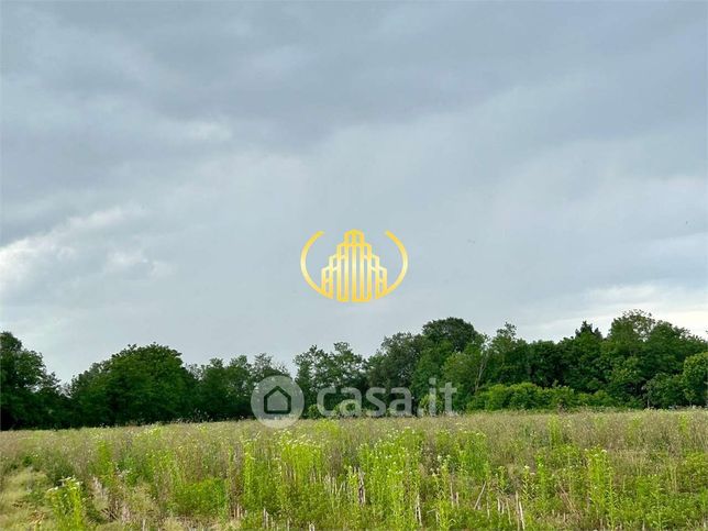 Terreno agricolo in commerciale in Via Pavanesche
