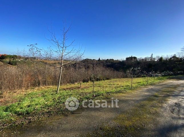 Terreno agricolo in commerciale in Via Pediano 31 A