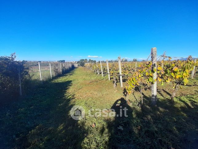 Terreno agricolo in commerciale in Via San Giacinto