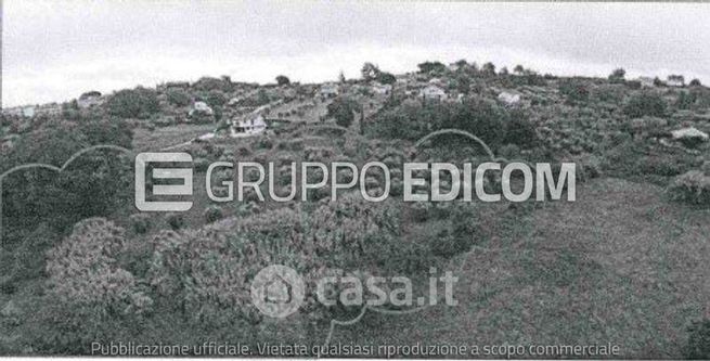 Terreno agricolo in commerciale in Strada Amelia-Giove