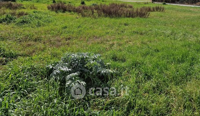 Terreno agricolo in commerciale in Via Giovanni Boccaccio