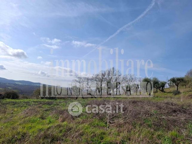 Terreno agricolo in commerciale in Via delle Fonti 48