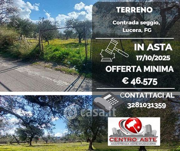 Terreno agricolo in commerciale in Strada Comunale Contrada Seggio