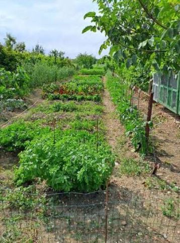 Terreno agricolo in commerciale in Via Sernaglia