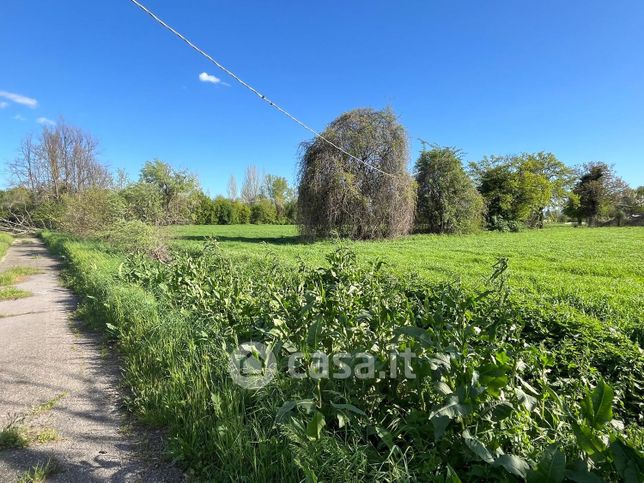 Terreno agricolo in commerciale in Via del Tuscolano