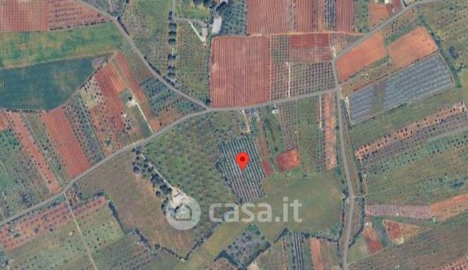 Terreno agricolo in commerciale in nardò