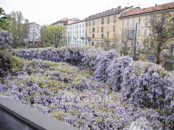 Appartamento in residenziale in Piazzale Antonio Baiamonti 4